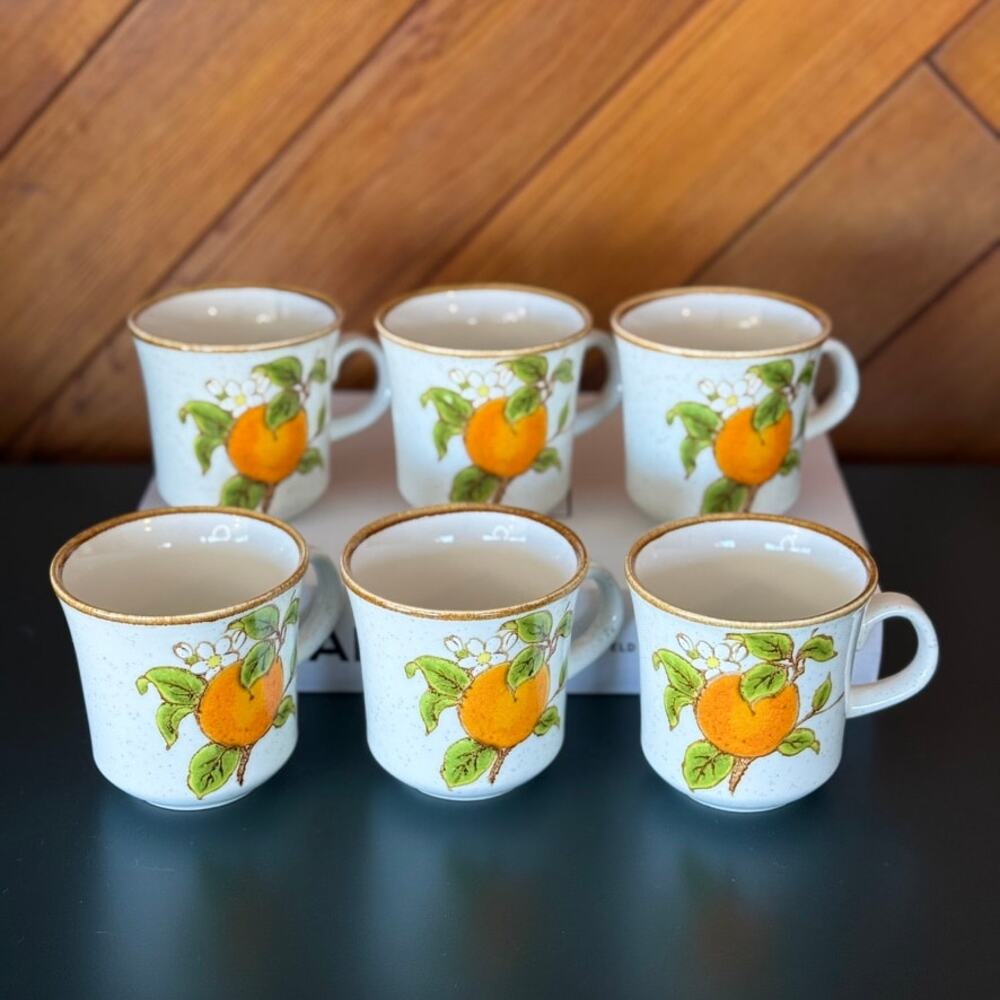 Vintage Mikasa Marmalade Cup and Saucer Set of 6 Citrus Orange Natural Beauty